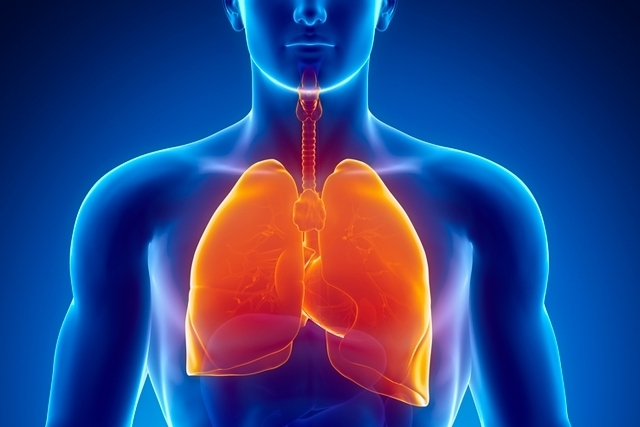 Embolia Pulmonar Que Es Síntomas Causas Y Tratamiento Maestria Salud 